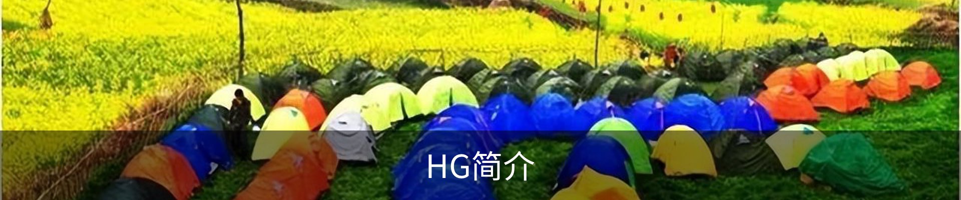 HG简介